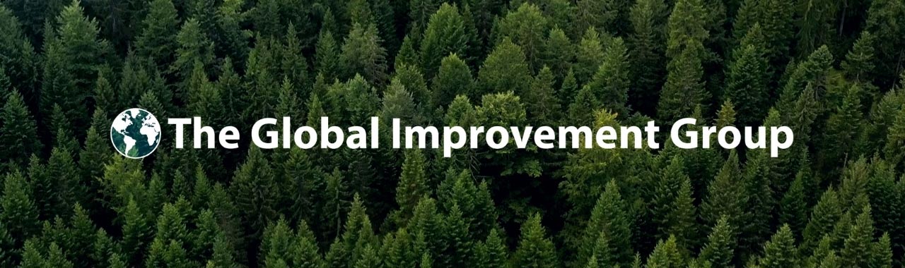 The global improvement group